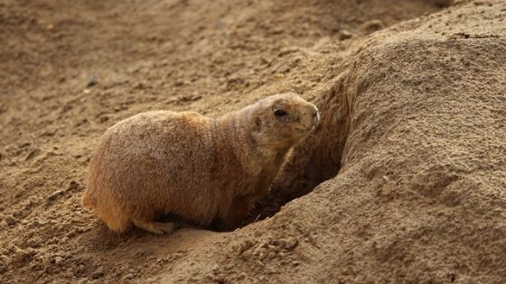 Fatal Startup Marketing Mistakes - Egan Montgomery